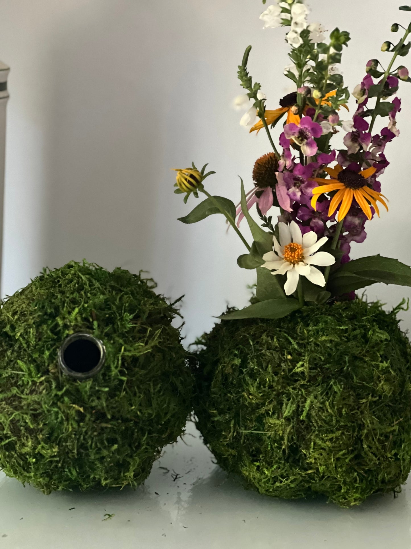 Kokedama Vase