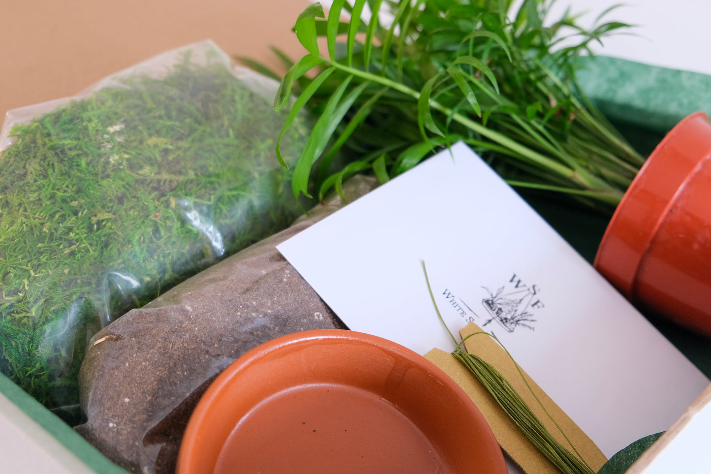 PRE-ORDER - DIY (do it yourself) Kokedama Making Kit