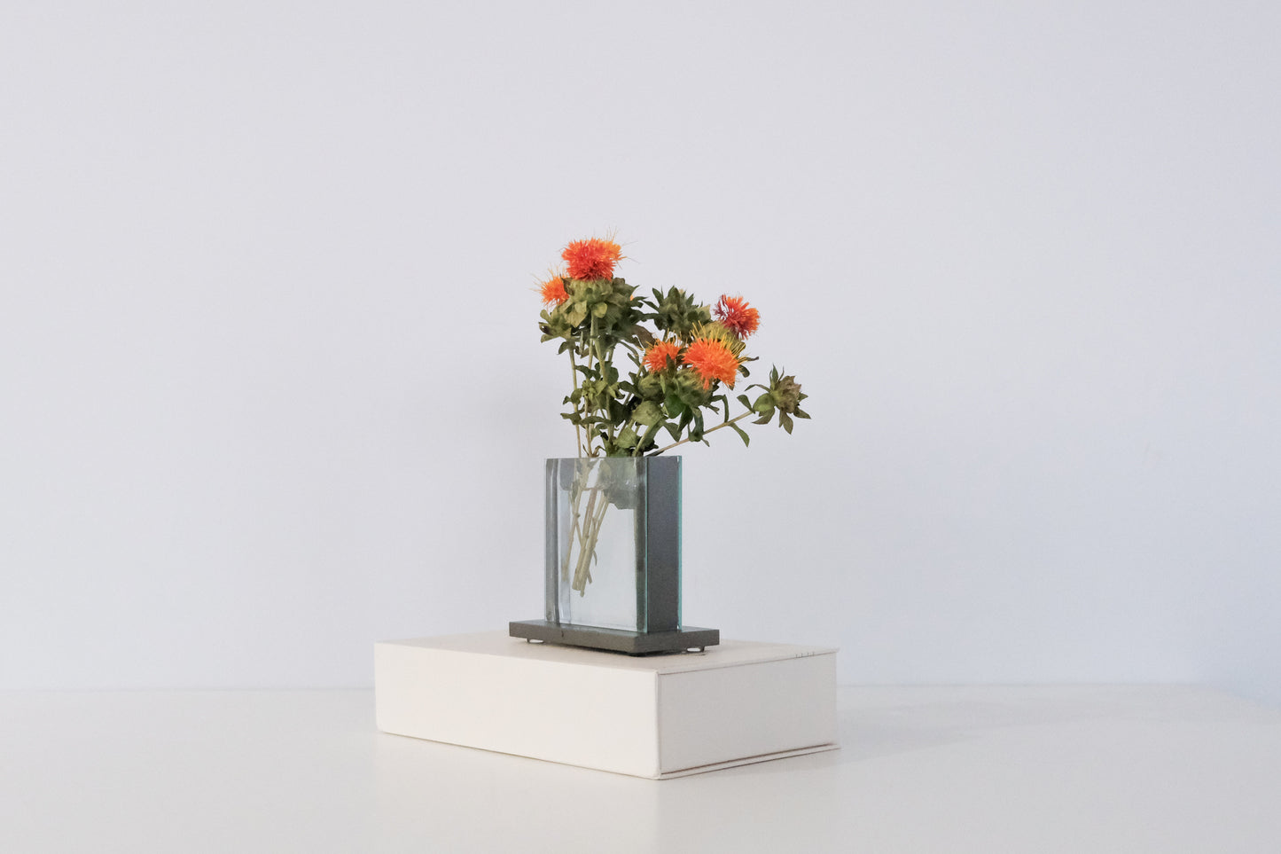 Timeless Vase - Square