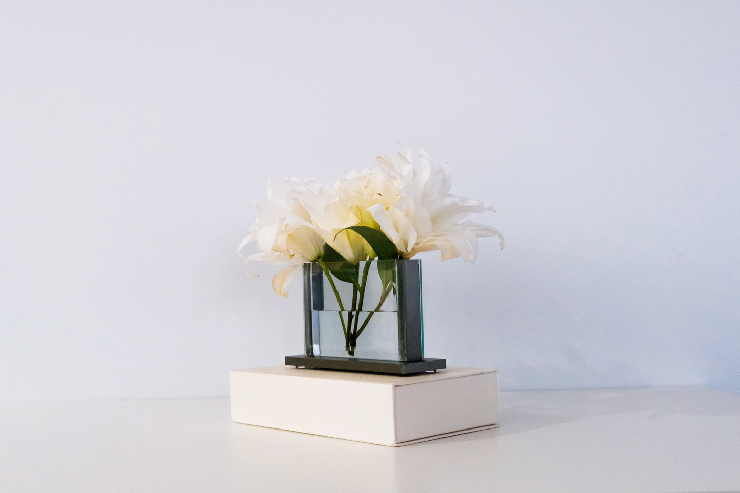 Timeless Vase -Horizontal (Small)