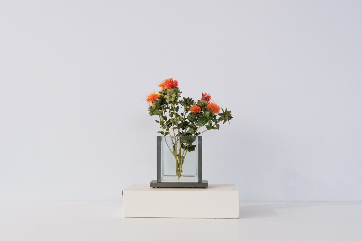 Timeless Vase - Square