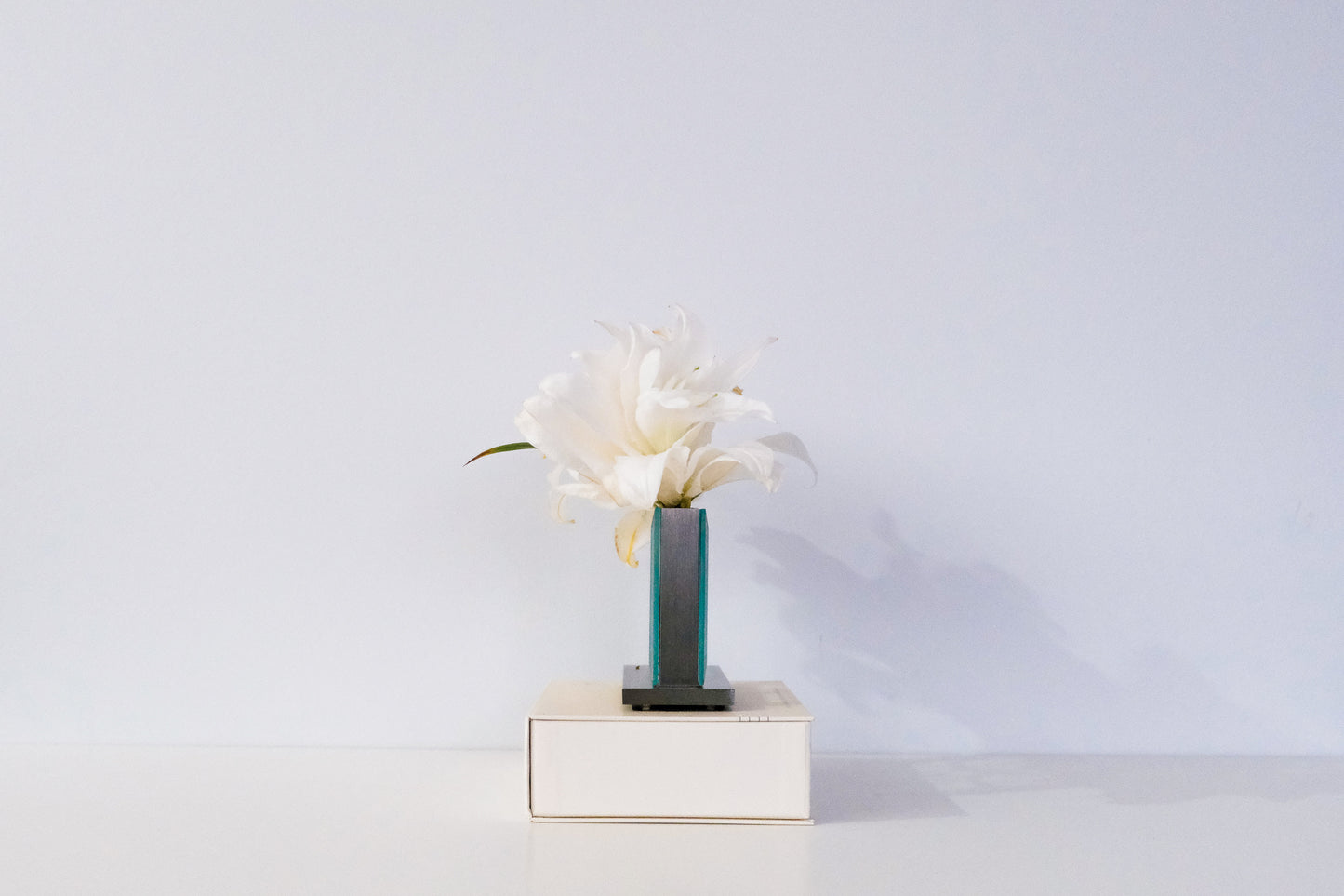 Timeless Vase -Horizontal (Small)